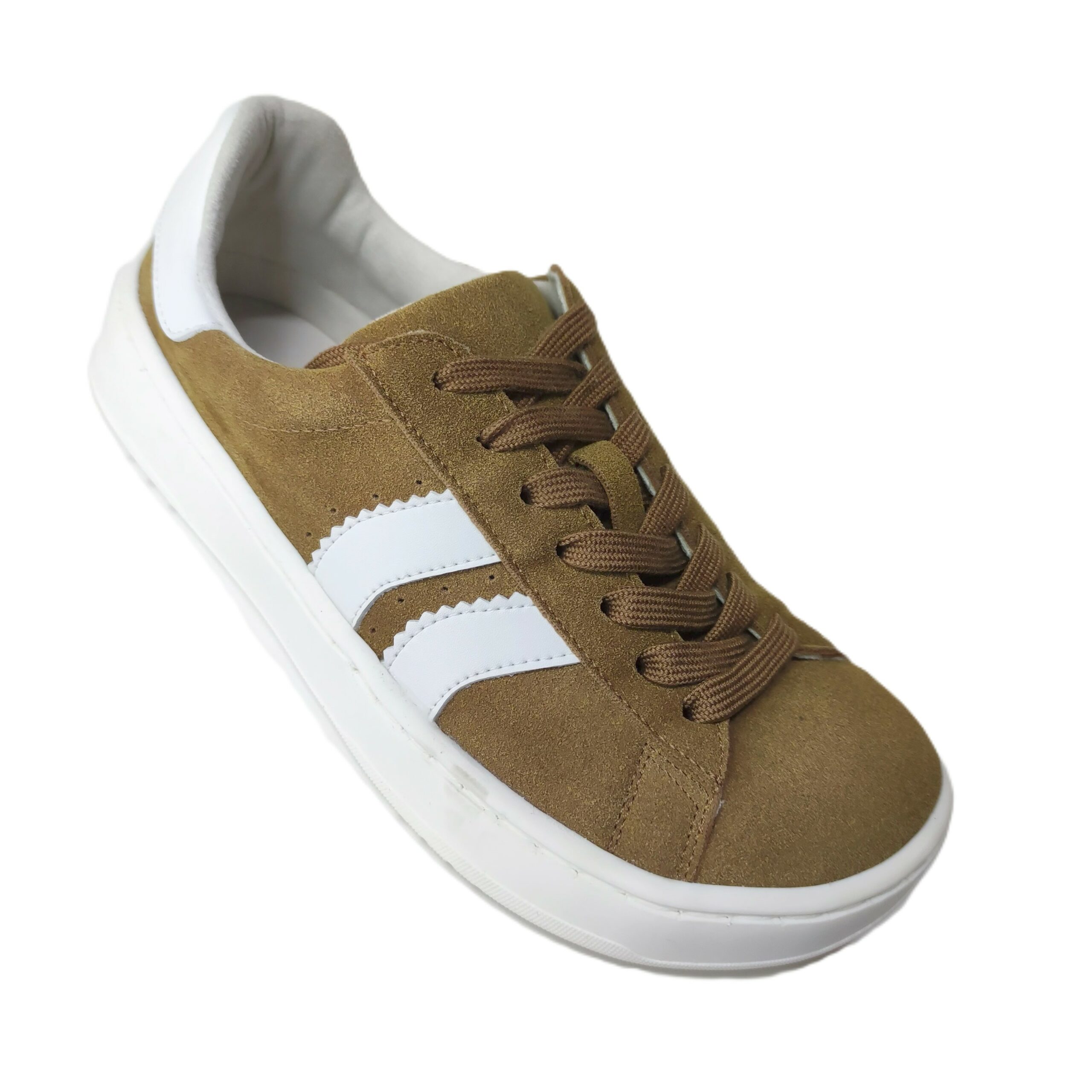 1764762528569 scaled